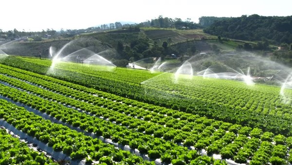 SENECA  Irrigation automatisée avec la technologie de l'industrie 4.0