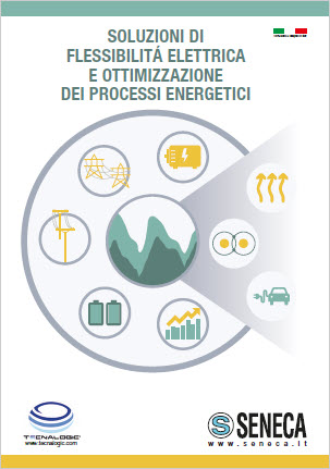 Electrical flexibility solutions and energy process optimisation